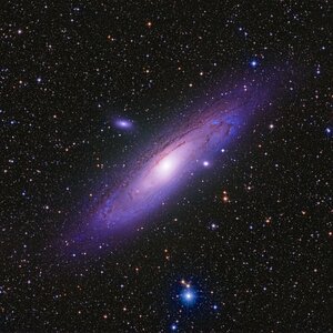 M31