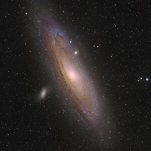 Andromeda Galaxie (M31)