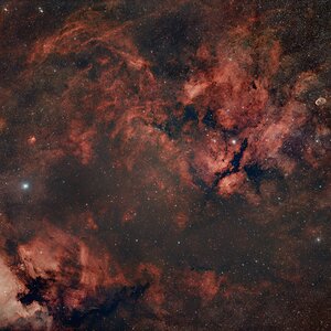 Deneb und Sadr Region mit Doppelsetup abgelichtet
