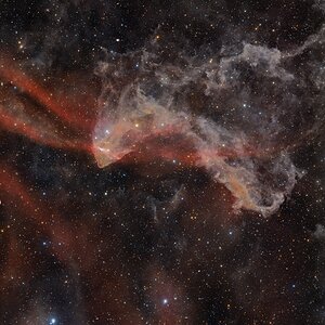 LBN437 - Gecko Nebel