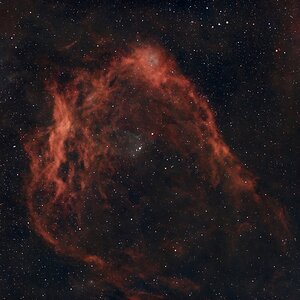 SH2-129 - Fledermaus- und Tintenfischnebel