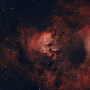 NGC 7822 - Teddybärnebel