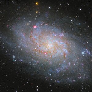 M33