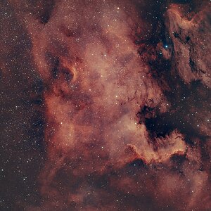 NGC 7000