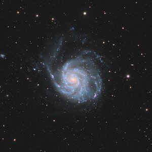 M101