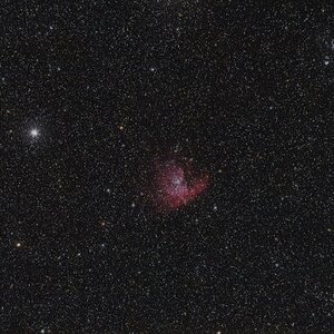 NGC 281 im Sternenmeer