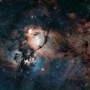 IC1795 – Fischkopf Nebel