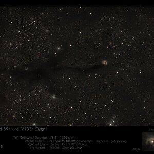 v1331.jpg
