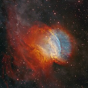 Sh2-174 “Valentine Rose Nebula”