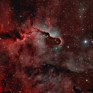 IC1396