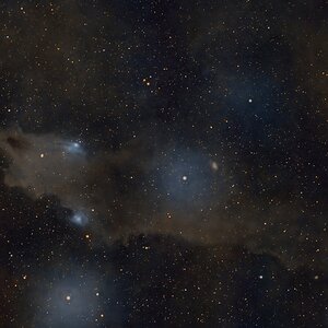 LDN 1235 - Haifischnebel