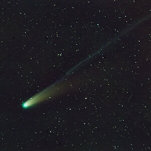 C_2025_A6_Lemmon_.jpg
