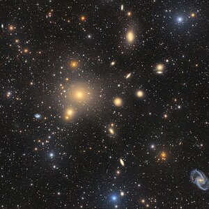 Fornax Cluster