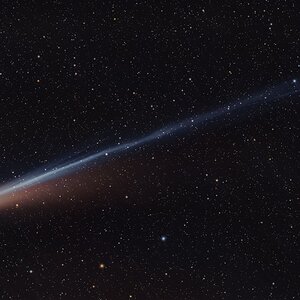 C/2025 A6 (Lemmon)