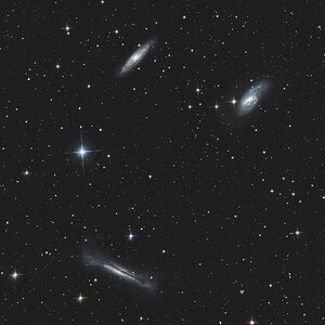 Leotriplet