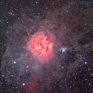IC5146_Sep2025.jpg