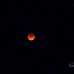 DSC07564-Resize_Export-crop.png