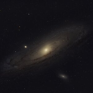 M31