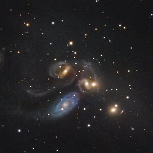 Stepan's Quintet