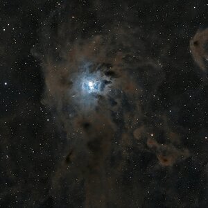 Iris nebula
