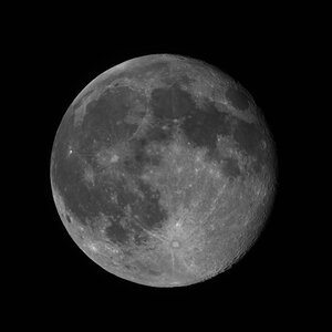 Mond