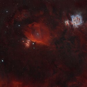 Region around IC434 (horsehead nebula).jpeg