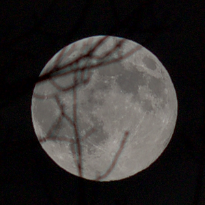 IMG_3355_1.png