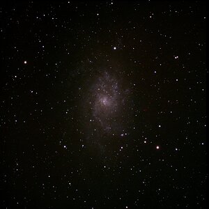 M33