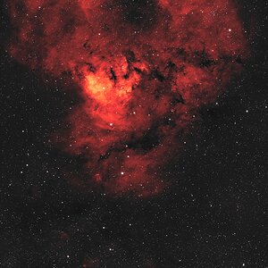 NGC7822 am 06.11.2025 (nur Ha eingefärbt)