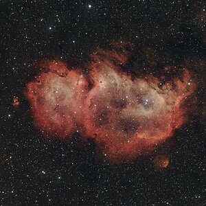 IC1848-neu bearbeitet.jpg