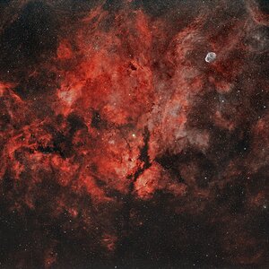 region around Gam Cyg