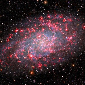 M33 in H-alpha und Kontinuum