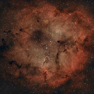 Sh2-131 (IC 1396 ) mit IC 1396A (Elefantenrüsselnebel)