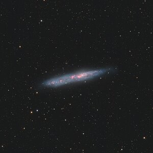 NGC 55
