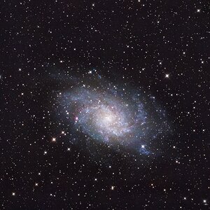 M33 die zweite