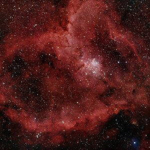 IC1805 / IC896