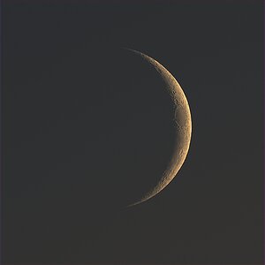 Mond