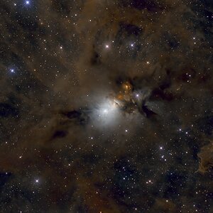 NGC1333 Embrionebel.jpg