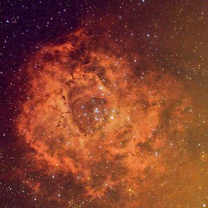 Rosettennebel NGC 2237 / NGC 2244