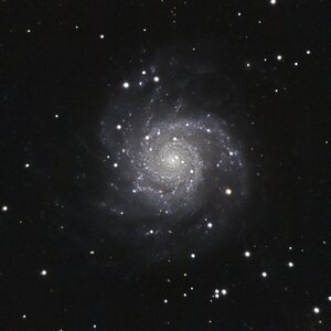 m74_20251122_bez.jpg