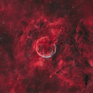 garlic nebula