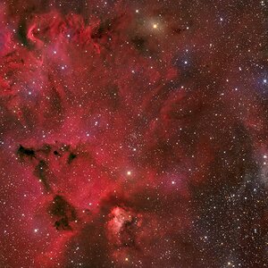 NGC2259.jpg