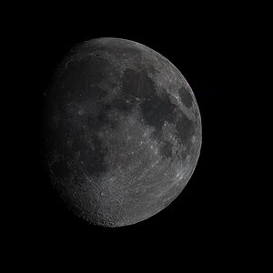 Mond