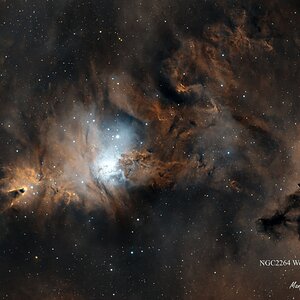 NGC2264 Weinachtsbaumcluster