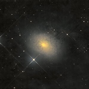 NGC 3077