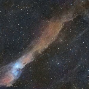 vdB 158 / LBN 534