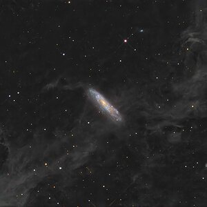 NGC 7497.jpg
