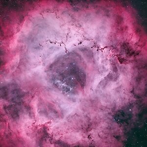 NGC2244 (Rosettennebel)
