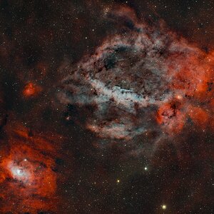 SH_2_157_Hummerschere.JPG