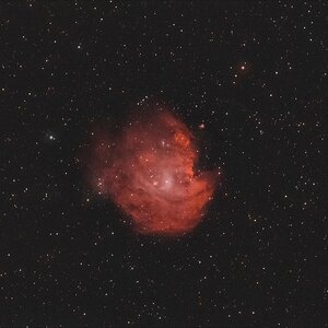 NGC 2174/2175 Der Affenkopfnebel